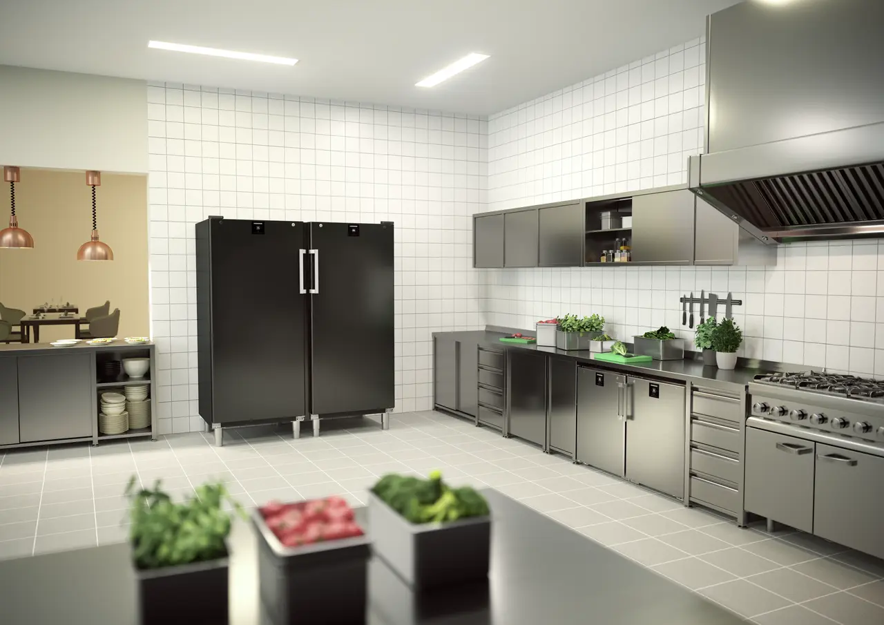 FRFBvg 5501 Perfection Reach-In refrigerator with bottom